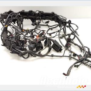 Faisceau électrique (principal) BMW F900 XR 