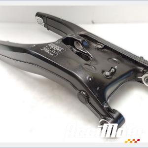 Bras oscillant BMW F900 XR 