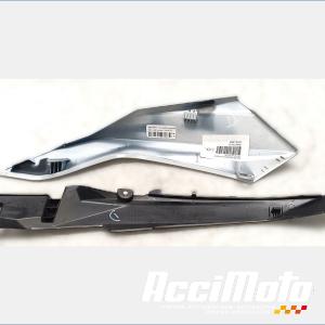 Coque arrière (droite) BMW F900 XR 