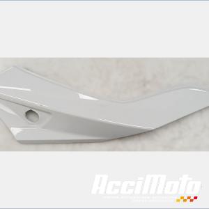 Coque arrière (gauche) BMW F900 XR 