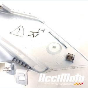 Flanc de carénage avant (gauche) BMW F900 XR 