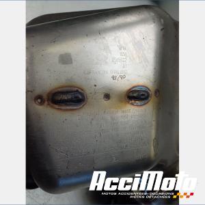 Silencieux (origine) BMW F900 XR 