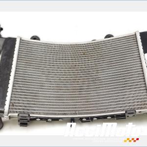 Radiateur de refroidissement BMW F900 XR 
