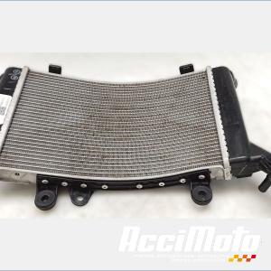 Radiateur de refroidissement BMW F900 XR 