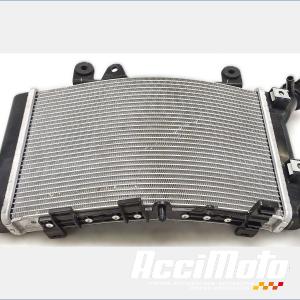 Radiateur de refroidissement BMW F900 XR 