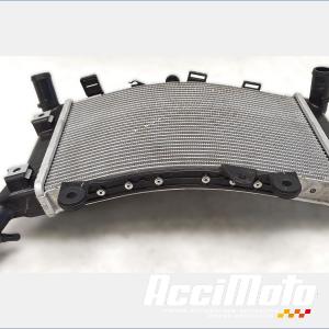 Radiateur de refroidissement BMW F900 XR 