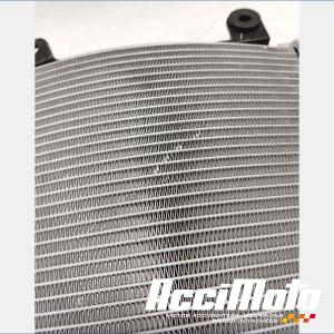 Radiateur de refroidissement BMW F900 XR 