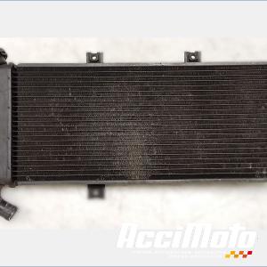 Radiateur de refroidissement KAWASAKI ER6 N