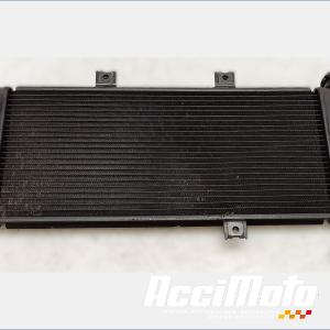 Radiateur de refroidissement KAWASAKI ER6 N