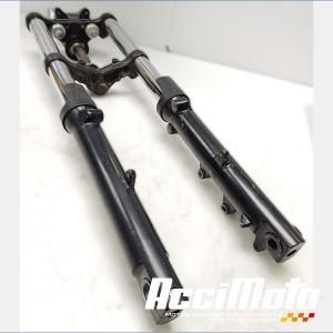 Fourche complète TRIUMPH BONNEVILLE 865 T100
