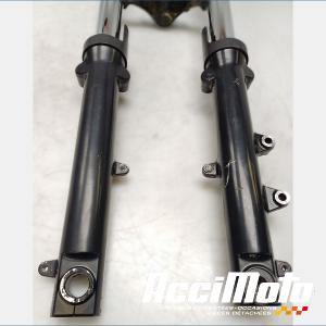 Fourche complète TRIUMPH BONNEVILLE 865 T100