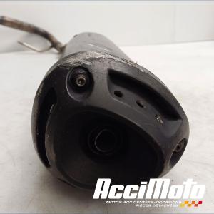 Ligne d'échappement complète YAMAHA YZF-R 125