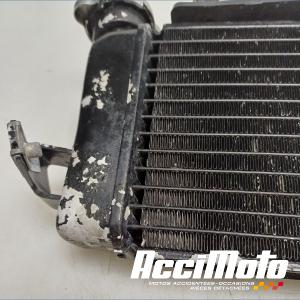 Radiateur de refroidissement YAMAHA YZF-R 125