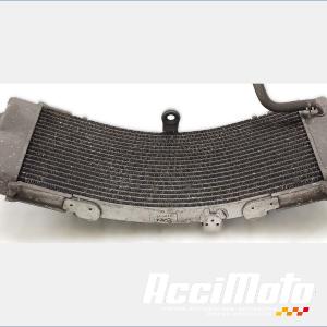 Radiateur de refroidissement YAMAHA TMAX XP500