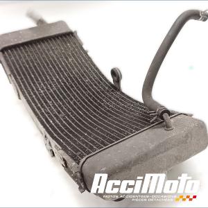 Radiateur de refroidissement YAMAHA TMAX XP500
