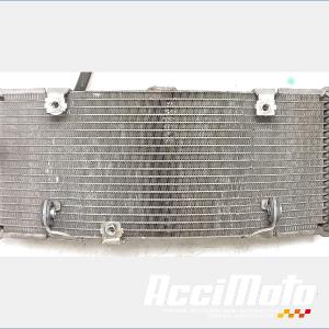 Radiateur de refroidissement YAMAHA TMAX XP500