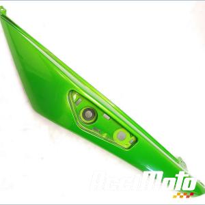 Coque arrière (gauche) KAWASAKI ER6 F