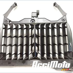Grille de radiateur YAMAHA XTZ TENERE 700
