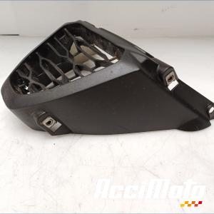 Grille de radiateur APRILIA RS 660