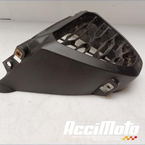 Grille de radiateur APRILIA RS 660