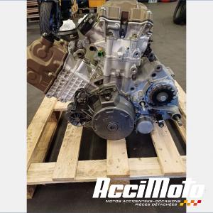 Moteur APRILIA TUONO 1000 R