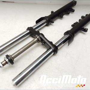 Fourche complète SUZUKI SV 650N