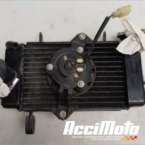 Radiateur de refroidissement YAMAHA YZF-R 125