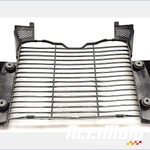Grille de radiateur HONDA CB1000R