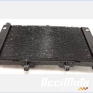 Radiateur de refroidissement HONDA CB1000R