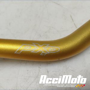 Guidon APRILIA TUONO RSV1000