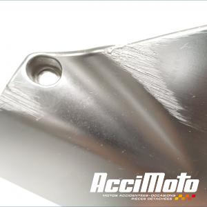 Sabot APRILIA TUONO RSV1000
