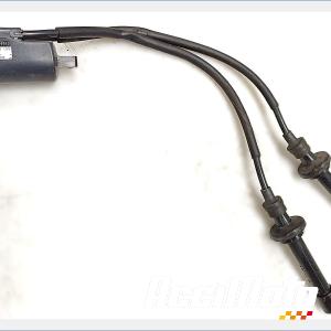 Bobine d'allumage YAMAHA TMAX XP530