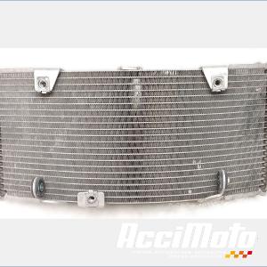 Radiateur de refroidissement YAMAHA TMAX XP530