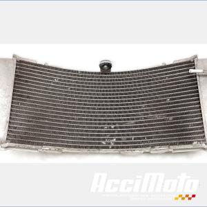 Radiateur de refroidissement YAMAHA TMAX XP530