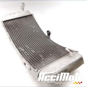 Radiateur de refroidissement YAMAHA TMAX XP530