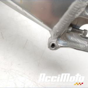 Bras oscillant APRILIA TUONO RSV1000