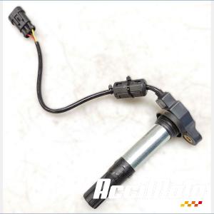 Bobine crayon APRILIA TUONO 1100