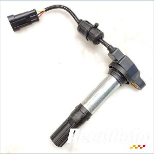 Bobine crayon APRILIA TUONO 1100