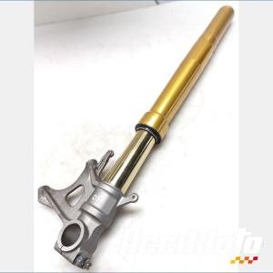 Bras de fourche (gauche) APRILIA TUONO 1100