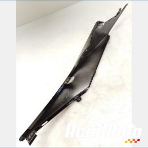Coque arrière (droite) APRILIA TUONO 1100