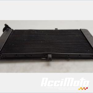 Radiateur de refroidissement YAMAHA MT-09