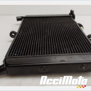 Radiateur de refroidissement YAMAHA MT-09