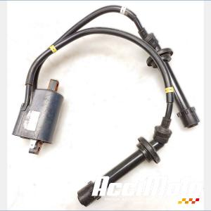 Bobine d'allumage (1/4) YAMAHA FZ6 N