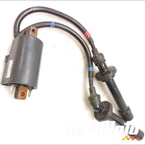 Bobine d'allumage (2/3) YAMAHA FZ6 N