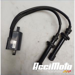 Bobine d'allumage YAMAHA TMAX XP530