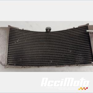 Radiateur de refroidissement YAMAHA TMAX XP530