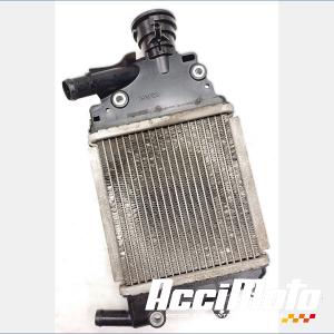Radiateur de refroidissement HONDA FORZA NSS125