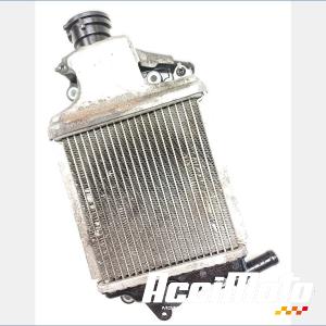 Radiateur de refroidissement HONDA FORZA NSS125