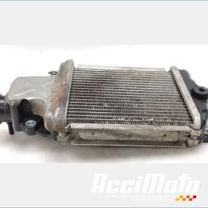 Radiateur de refroidissement HONDA FORZA NSS125