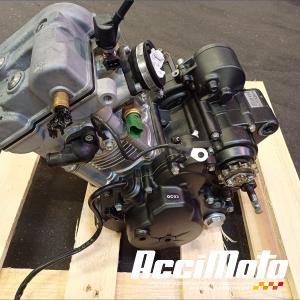 Moteur APRILIA TUONO 125
